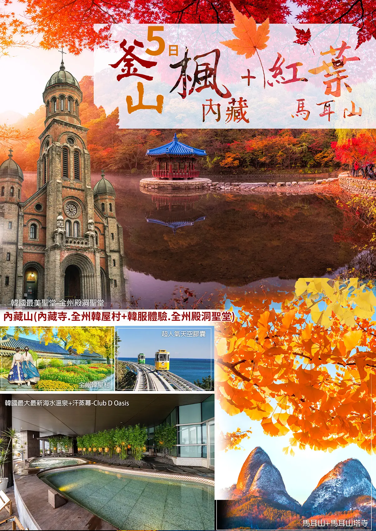 韓國賞楓