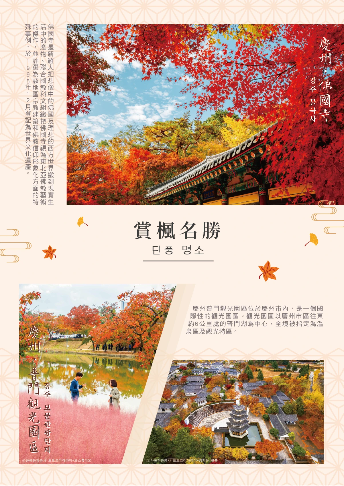 慶州佛國寺 楓葉 慶州普門觀光園區 波波草